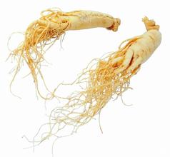 Panax Ginseng Root/Ginseng Powder