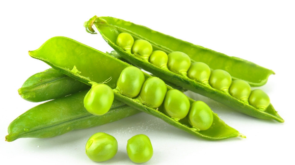 Pea Protein