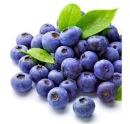 Bilberry Extract