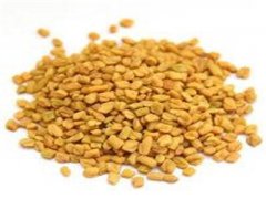 Fenugreek Seed Extract