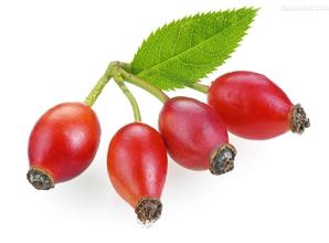 Rose Hip