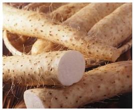 Wild Yam