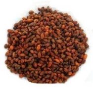 Seabuckthorn Berries/Seabuckthorn Powder