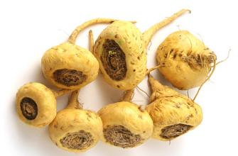 Maca