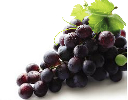 Grape Seed Extract