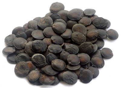 Griffonia Seed Extract