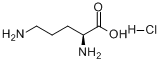 L-Ornithine HCl